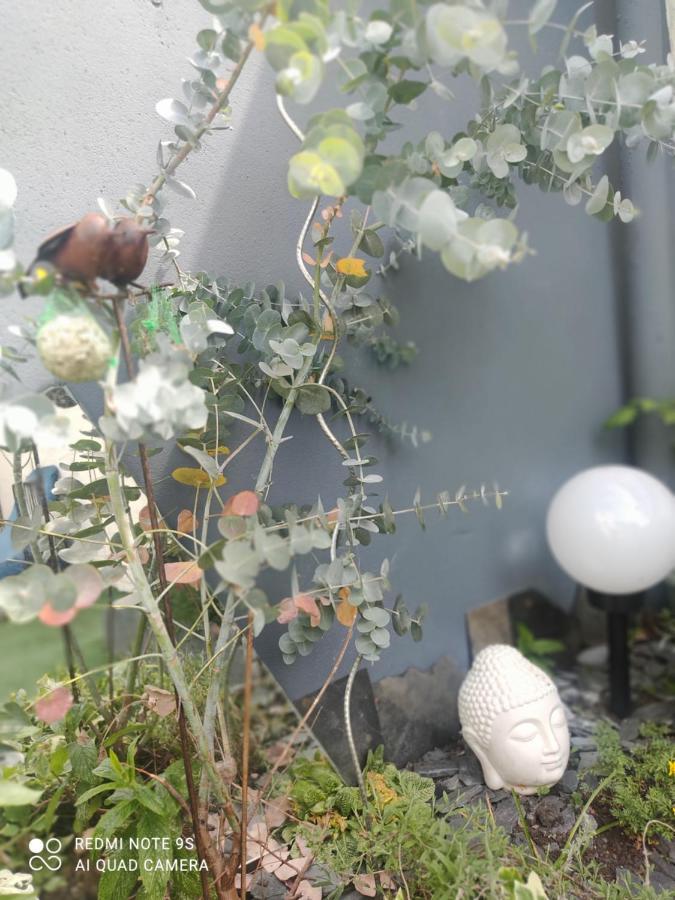 Le Cocon Des Hortillonnages D'Amiens Camon  المظهر الخارجي الصورة
