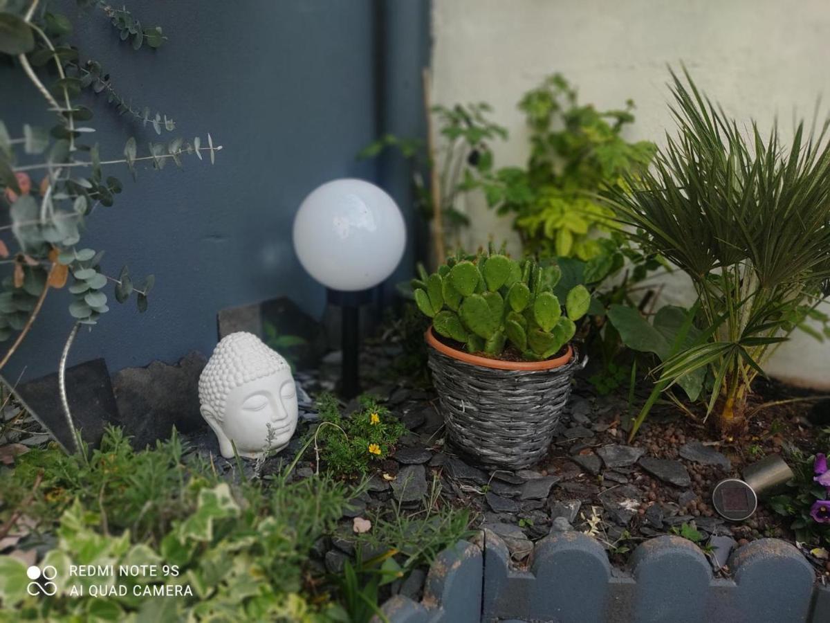 Le Cocon Des Hortillonnages D'Amiens Camon  المظهر الخارجي الصورة
