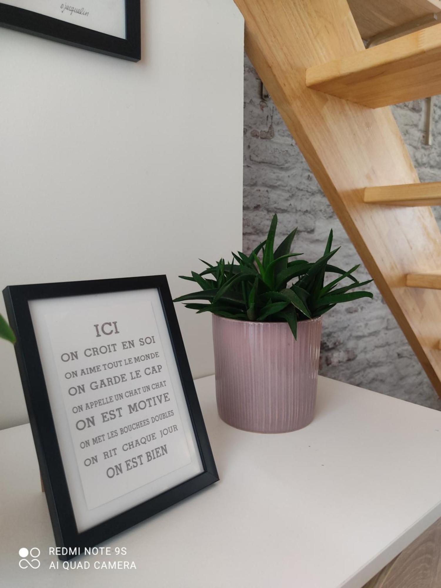 Le Cocon Des Hortillonnages D'Amiens Camon  المظهر الخارجي الصورة