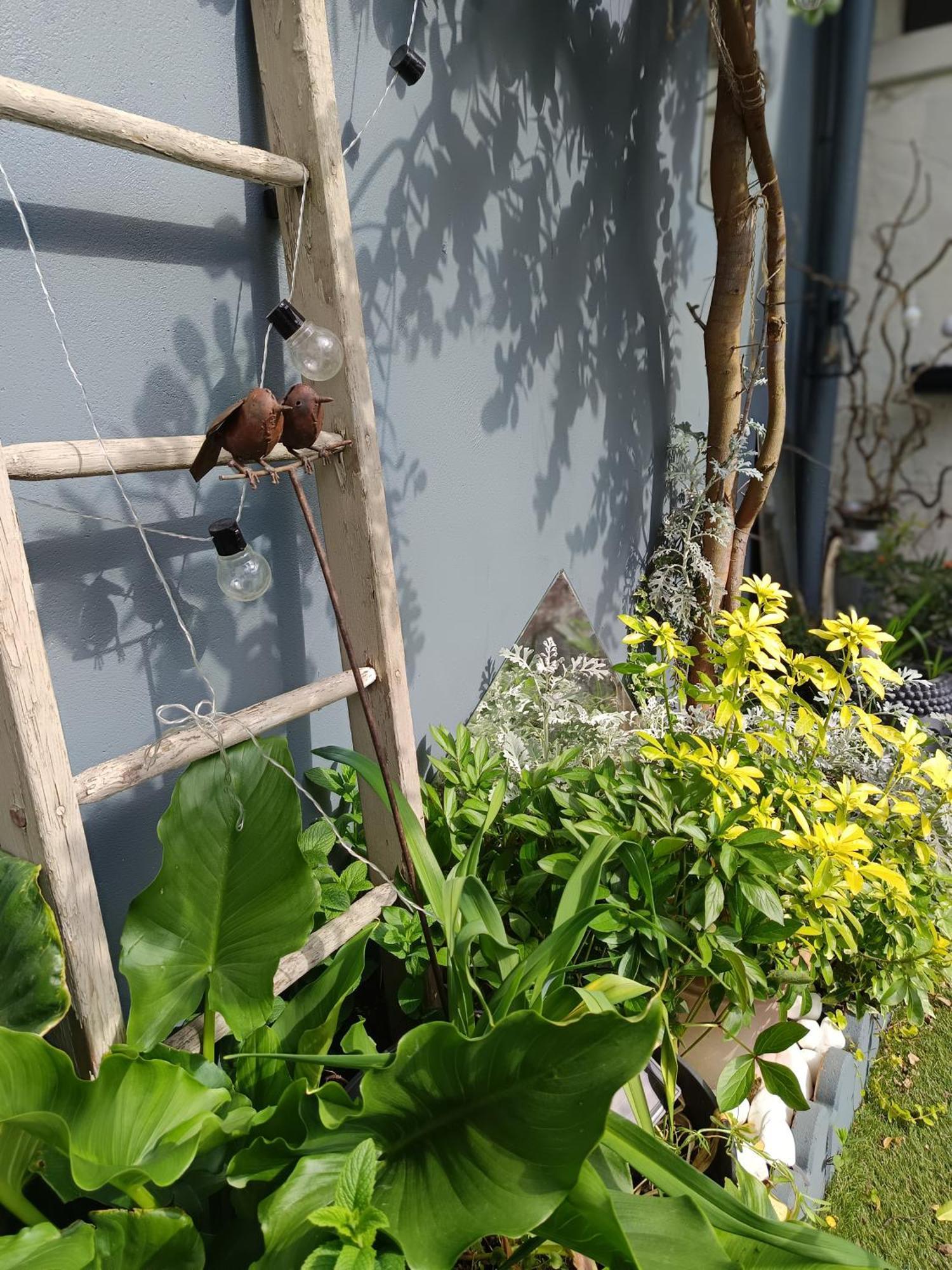 Le Cocon Des Hortillonnages D'Amiens Camon  المظهر الخارجي الصورة